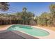 Backyard swimming pool with desert landscaping and privacy fencing, perfect for relaxation at 10 Yew Ave, Las Vegas, NV 89110