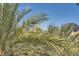 Cityscape view through palm trees on a sunny day at 220 E Flamingo Rd # 402, Las Vegas, NV 89169