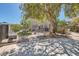 Serene backyard with mature landscaping, a paved pathway, and an outdoor grilling area at 2288 Red Alder St, Henderson, NV 89002