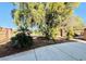 Tranquil backyard with mature tree, lush foliage, and a private concrete patio area perfect for relaxation at 3538 Old Course St, Las Vegas, NV 89122