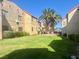 Beautiful condo backyard with green grass, desert landscaping, and mature palm trees at 4704 Obannon Dr # D, Las Vegas, NV 89102