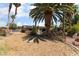 Desert backyard with mature trees, trampoline, and view of the pool with rock feature at 5312 Manuel Dr, Las Vegas, NV 89149