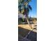 Fenced backyard showcasing lawn, a trampoline, a geodesic climber, and mature palm trees at 5312 Manuel Dr, Las Vegas, NV 89149