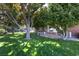 Spacious backyard with manicured lawn and mature trees at 5860 N Campbell Rd, Las Vegas, NV 89149