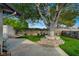 A backyard featuring a mature shade tree, lush lawn, garden areas, concrete patio, and privacy walls at 700 Cactus Ln, Las Vegas, NV 89107