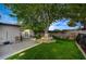 A beautifully landscaped backyard features a huge shade tree, lush lawn, mature shrubs, concrete patio and block wall at 700 Cactus Ln, Las Vegas, NV 89107
