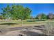 Manicured community green space features mature trees and lush grass and landscaping at 7760 Pine Warbler Way, North Las Vegas, NV 89084