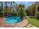 Stunning pool area with lush tropical landscaping and inviting blue water at 11814 Canons Brook Dr, Las Vegas, NV 89141