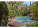 Relaxing pool and spa area surrounded by mature trees and lush greenery at 11814 Canons Brook Dr, Las Vegas, NV 89141