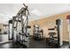 Community gym featuring multiple weight machines and a 'no pets allowed' sign at 3125 N Buffalo Dr # 1133, Las Vegas, NV 89128