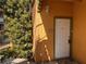 Exterior front door with a wall lamp, address number, and small tree at 5150 S Jones Blvd # 105, Las Vegas, NV 89118