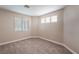 Bedroom with neutral carpet, paint, and multiple windows at 7116 Wonderberry St, Las Vegas, NV 89131