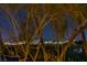 View of city skyline through trees at night, offering unique outdoor backdrop at 11573 Glowing Sunset Ln, Las Vegas, NV 89135