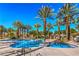 Resort-style pool area with mature palm trees and clear blue water offering a relaxing community amenity at 11573 Glowing Sunset Ln, Las Vegas, NV 89135