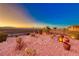Desert landscaping in backyard featuring cacti, pots, and mature plantings at 1779 Sebring Hills Dr, Henderson, NV 89052