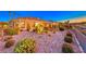Stylish desert landscaping in backyard with mature cacti and various plantings at 1779 Sebring Hills Dr, Henderson, NV 89052