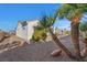 Well-maintained backyard featuring low-maintenance desert landscaping with palm trees at 2585 Shellsburg Ave, Henderson, NV 89052