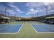 Outdoor pickleball courts featuring professional nets and court dividers with desert landscaping at 2585 Shellsburg Ave, Henderson, NV 89052