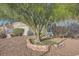 Front yard featuring desert landscaping with mature trees and decorative brick edging at 4620 Standing Bluff Way, Las Vegas, NV 89130
