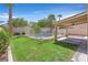 Grassy backyard with a covered patio, a fenced-in pool, and lush landscaping at 681 Peach Coral St, Las Vegas, NV 89183