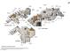 Detailed floor plan of a luxury home showcasing its expansive layout with multiple bedrooms, bathrooms, and living areas at 1800 Melfi Ct, Henderson, NV 89012