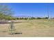 Community disc golf area with baskets, open space, and mountain views on a sunny day at 8919 Don Valley Ave, Las Vegas, NV 89148