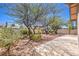 Private backyard featuring desert landscaping, mature trees, and a concrete patio area perfect for outdoor living at 133 Park Ridge Ln, Henderson, NV 89002