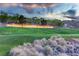 Sun City Anthem entrance, showcasing a well-manicured landscape and beautiful community signage at 2264 Savannah River St, Henderson, NV 89044