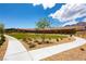 Well maintained community park with trees, shrubs and manicured walkway at 244 Native Stone St, Las Vegas, NV 89138