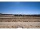 Wide angle view of houses in the distance with an arid landscape in the foreground under a bright blue sky at 2581 Tolmezzo St, Henderson, NV 89044