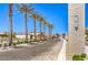 Landscaped street view featuring mature palm trees at 2657 Fawn Beige Ct, North Las Vegas, NV 89086