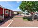 Backyard of a single-story home featuring a covered patio, gravel yard, and mature tree with hanging chair at 2809 Webster St, North Las Vegas, NV 89030