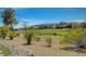 Picturesque golf course view with lush greenery and desert landscape from the home's backyard at 2885 Red Springs Dr, Las Vegas, NV 89135