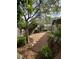 The backyard features mature trees, bushes and an outdoor shed at 810 Socorro Song Ln, Henderson, NV 89052