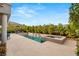 Beautiful pool and spa with mature landscaping create a private oasis in the backyard at 10482 Calico Terrace Ave, Las Vegas, NV 89135
