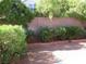 Landscaped backyard featuring a block wall fence, flowering shrubs, and mature trees for privacy at 2381 Lilac Cove St, Las Vegas, NV 89135