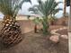 A desert landscaped backyard featuring lush palm trees and a charming stone walkway at 258 Bella Matese Ave, Las Vegas, NV 89183