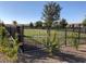 A community dog park is surrounded by a tall, black fence and landscaping at 789 Goodman Cove St, Henderson, NV 89011