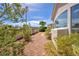 Desert landscaping with rock ground cover along block wall at 90 Ancient Hills Ln, Henderson, NV 89074