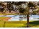 Scenic view of a golf course pond surrounded by lush green grass and trees at 109 Reverie Heights Ave, Henderson, NV 89011