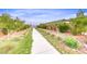 Community walking path with lush landscaping and manicured vegetation at 109 Reverie Heights Ave, Henderson, NV 89011