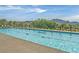 A large swimming pool with clear water, and views of mountains in the background at 109 Reverie Heights Ave, Henderson, NV 89011