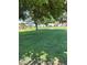 Lush green lawn with mature trees providing shade, a beautiful outdoor space at 158 Greenbriar Townhouse Way, Las Vegas, NV 89121