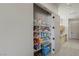 Walk-in pantry with organized shelving and ample storage space for food and household items at 29 Falling Ridge Ln, Henderson, NV 89011