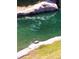 Picturesque pond view with clear water, lush green grass, and a turtle on a rock at 3151 Soaring Gulls Dr # 2035, Las Vegas, NV 89128