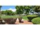 Well maintained community area with mature trees and lush green grass at 3318 N Decatur Blvd # 1002, Las Vegas, NV 89130