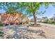 View of the home's side yard and landscaping featuring a mature tree at 3814 Connie Ave, Las Vegas, NV 89115