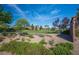 Lush backyard with meticulously manicured landscaping, creating a serene outdoor oasis at 580 Via Di Parione Ct, Henderson, NV 89011