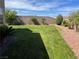 Green lawn with desert landscaping, privacy wall, and rock-lined yard at 10650 Robin Hill Ave, Las Vegas, NV 89129