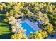 Aerial view of the pool surrounded by palm trees and lush greenery, offering a serene oasis for residents at 21 Grand Masters Dr, Las Vegas, NV 89141